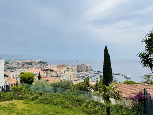 Cap d'Ail: Magnificent renovated flat with terrace next to Monac - 13