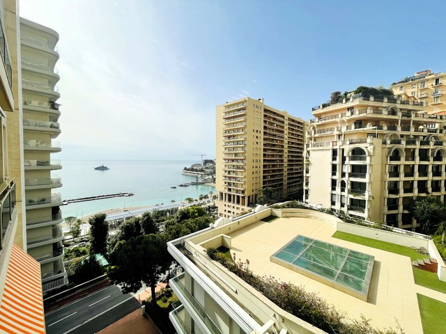 Larvotto - Deux pièces terrasse vue mer - avec parking - Usage m - 9
